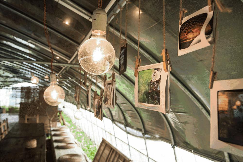 暂时逃离全是回忆的城市,暂时逃离城市的喧嚣和纷扰