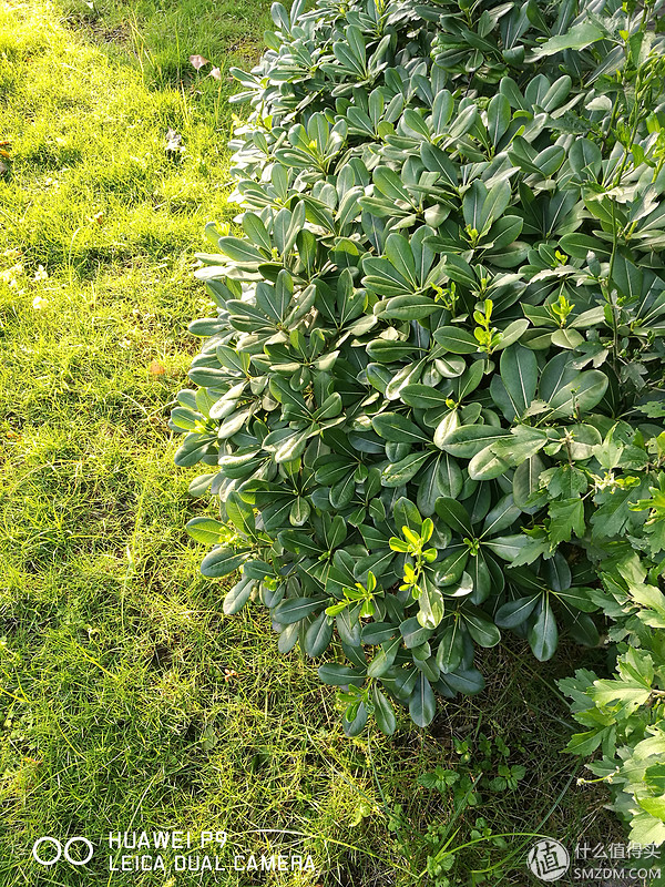 huawei华为p9,华为p9