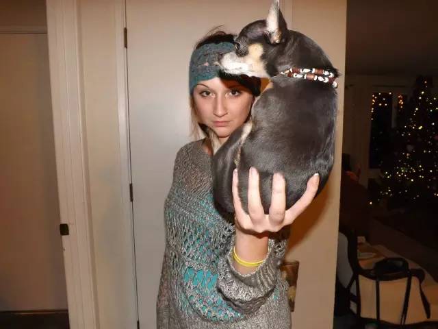 我家毛球最好抱了!不过该怎么抱?