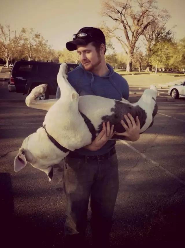 我家毛球最好抱了!不过该怎么抱?