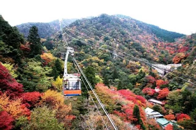 游在日本|就算没有神户牛,神户也是一个好去处