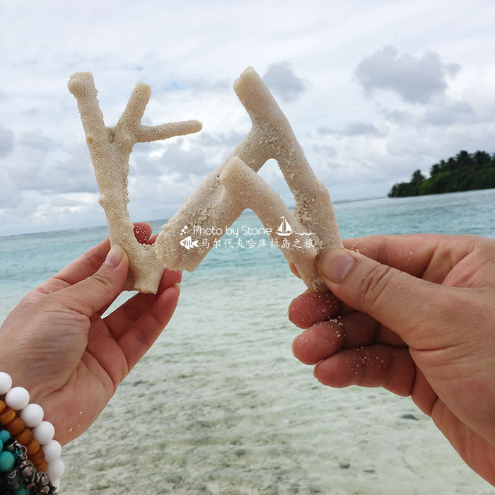 美丽的马尔代夫视频音乐,马尔代夫哈拉微莉岛游记