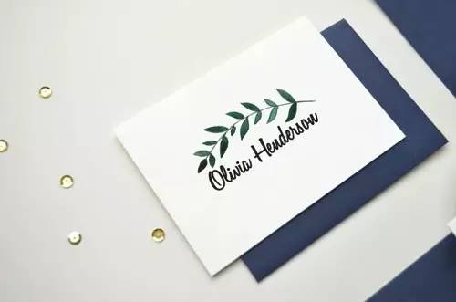 一分钟制作原创标志，高级logo模板素材包