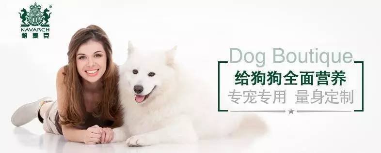 为单身狗相亲、找猫女跳钢管，他是天猫宠物食品领头羊！