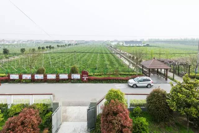 暂时逃离全是回忆的城市,暂时逃离城市的喧嚣和纷扰