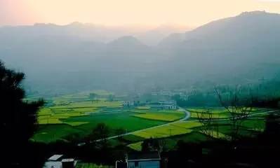 霍建华如何向林心如表白,霍建华520表白林心如