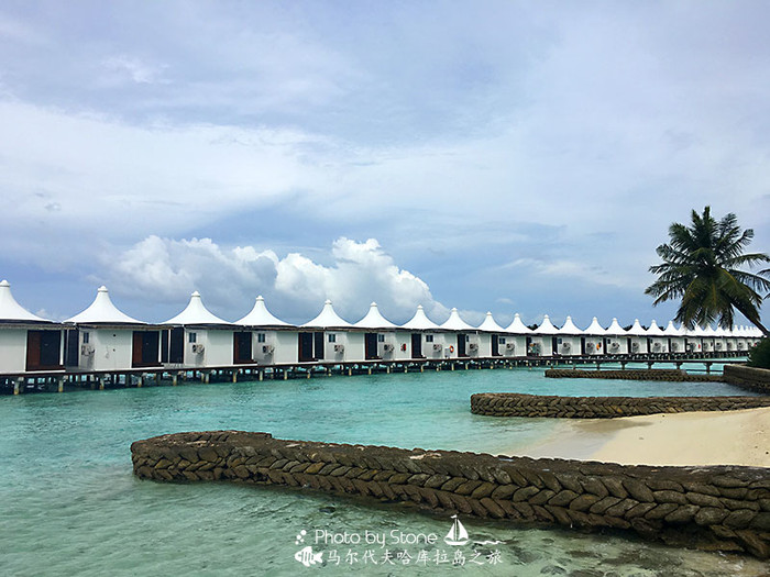美丽的马尔代夫视频音乐,马尔代夫哈拉微莉岛游记