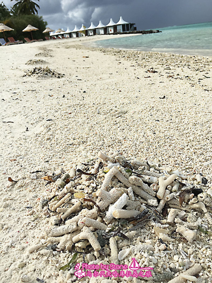 美丽的马尔代夫视频音乐,马尔代夫哈拉微莉岛游记