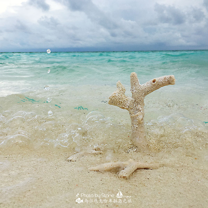 美丽的马尔代夫视频音乐,马尔代夫哈拉微莉岛游记