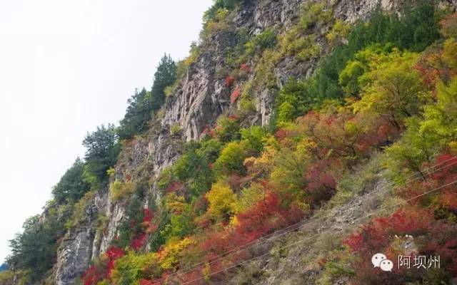 512汶川地震十二年铭记历史,缅怀汶川512地震
