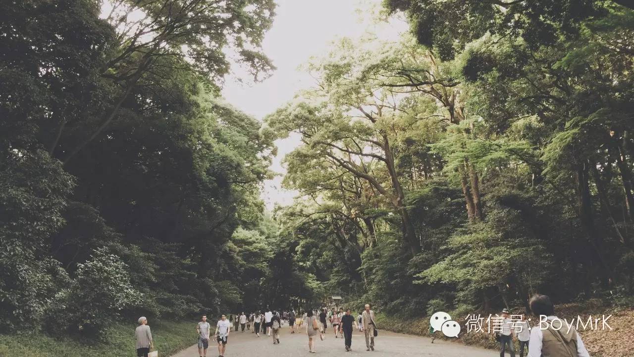 私享丨在没有爱情故事的东京，度过悠长假期,内含福利