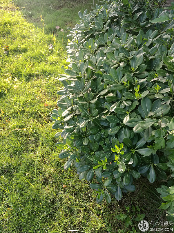 huawei华为p9,华为p9