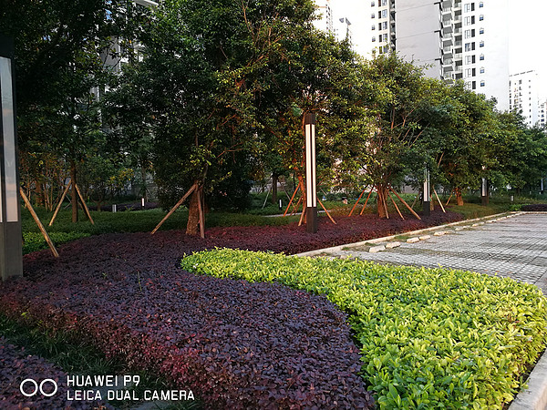 huawei华为p9,华为p9