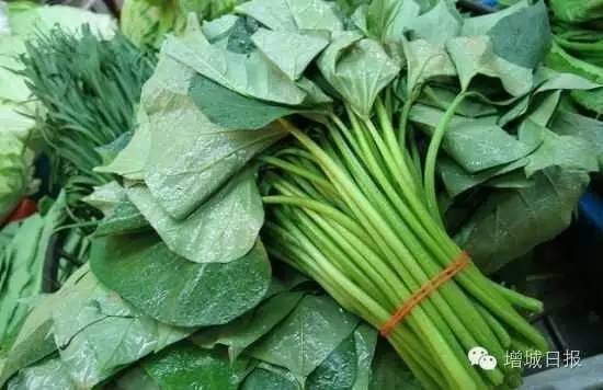 最近，这两种菜在增城大量出售，吃了后居然会
