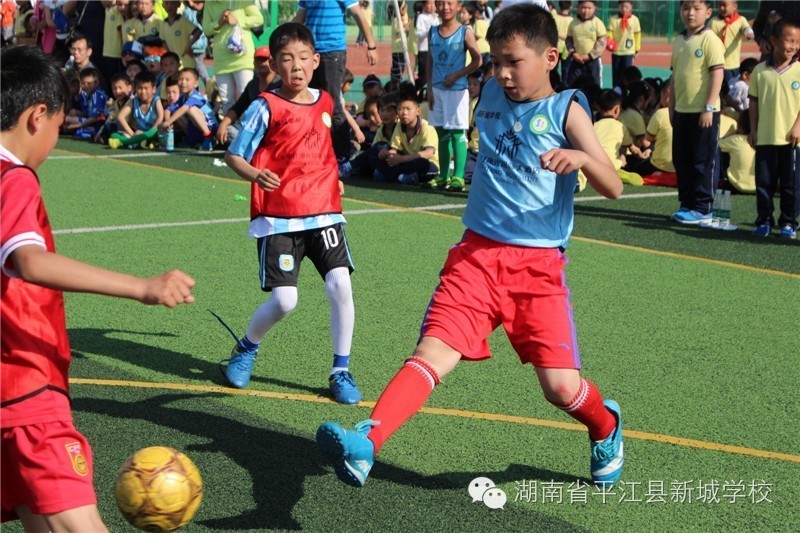 孩子在学校很好学习,孩子在新学校读书