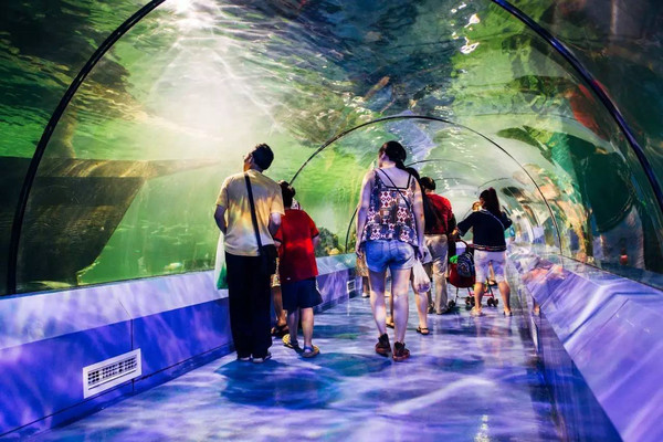 重庆周边亲子游避暑玩水 (五一重庆周边适合小孩游玩的景点)