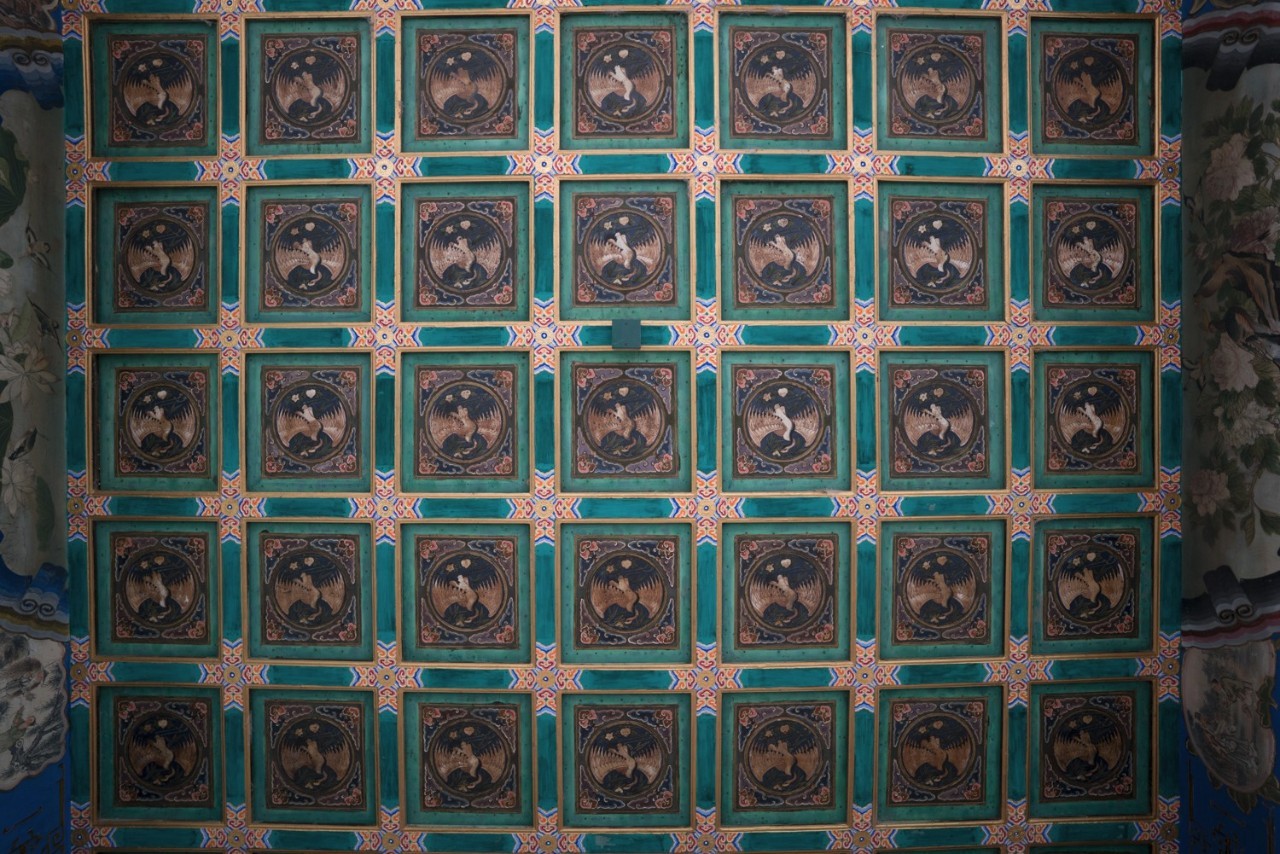 蔡司batis85mm开箱,蔡鸟