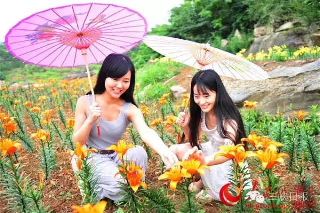 宜昌花海推荐,宜昌6月份花海景点有哪些