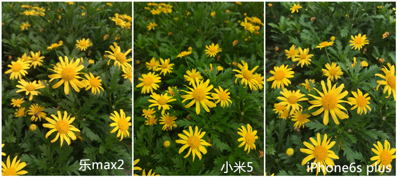 乐视max2和乐2pro哪个好,乐视max2