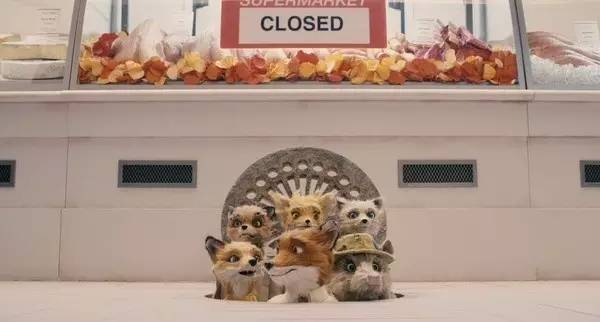 深度拷问,深度思考多了很难找到生活的本质