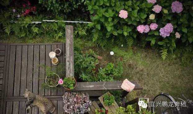 无锡拈花湾门票对65岁老人免票吗,无锡拈花湾门票免费预约如何操作