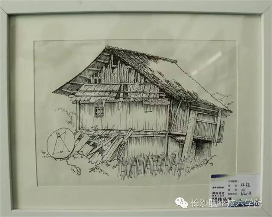 来稿我的大学生活比你多了道风景