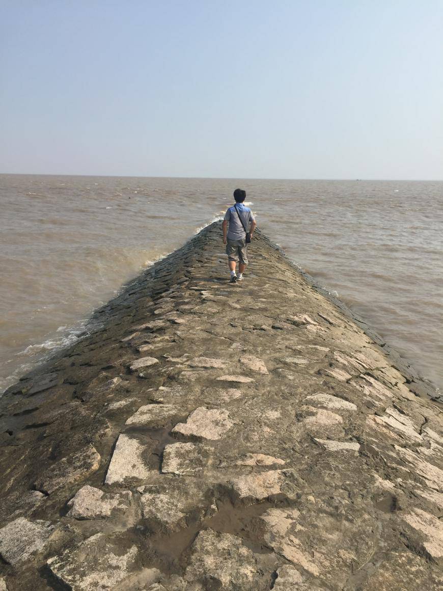 掩卷长听拦道声|宫瑞龙诗词选