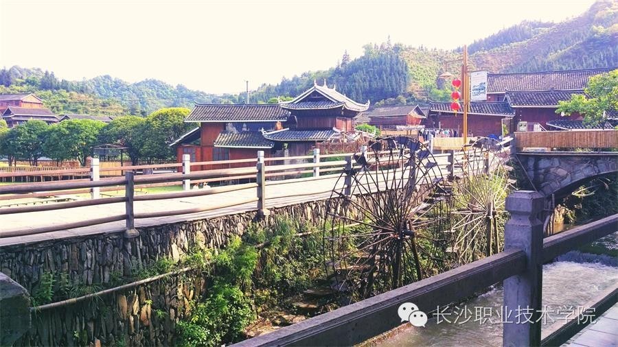 来稿我的大学生活比你多了道风景