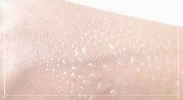 allie和安耐晒哪个好,allie防晒霜和安耐晒啫喱