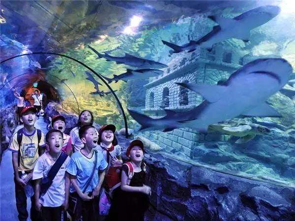 抢疯了!“宁波G20特惠旅游护照”登陆杭州10家银泰!抢到一本就赚4万6!