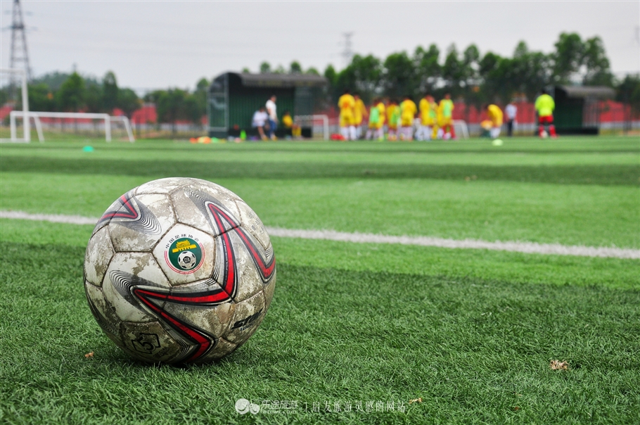 走进足球世界,走进足球赛场