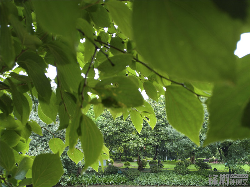 乐视max2和乐2pro哪个好,乐视max2