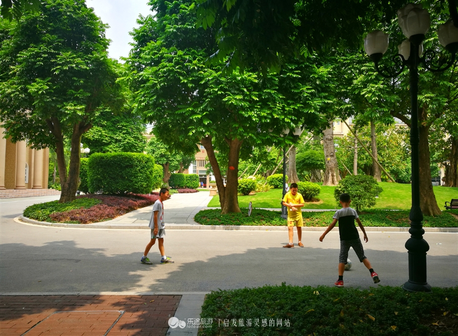 走进足球世界,走进足球赛场