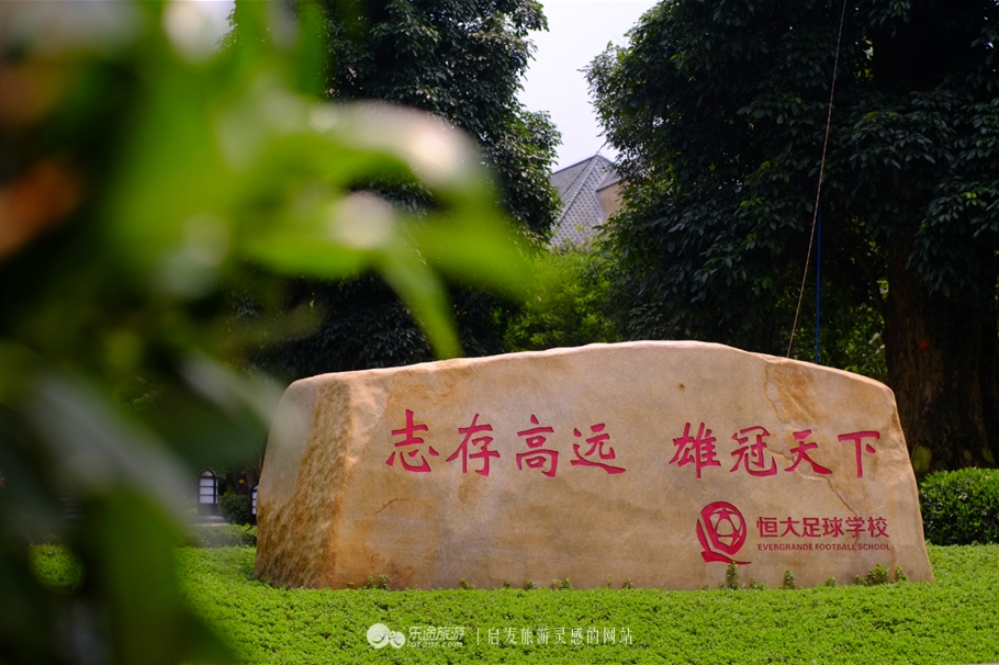 走进足球世界,走进足球赛场