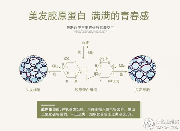tescom胶原蛋白吹风机测评,清风吹风机评测