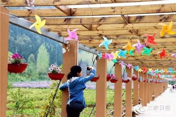 宜昌花海推荐,宜昌6月份花海景点有哪些