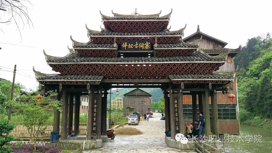 来稿我的大学生活比你多了道风景