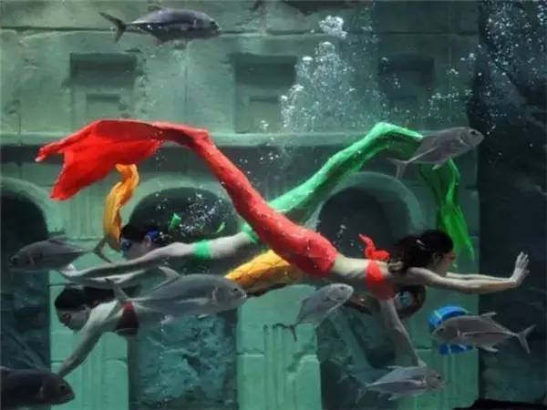 抢疯了!“宁波G20特惠旅游护照”登陆杭州10家银泰!抢到一本就赚4万6!