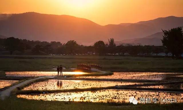 一直以来,你都看错了韩国
