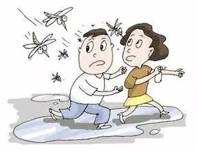 网上的驱蚊神器真的有效果吗,网上的驱蚊神器有没有效果