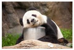 涨姿势啦被电动自行车撞了,怎么找保险公司赔?