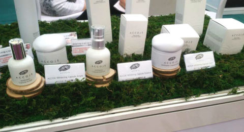 高端生物科学化妆品品牌爱珂婕,Accoje加强全球销售能力