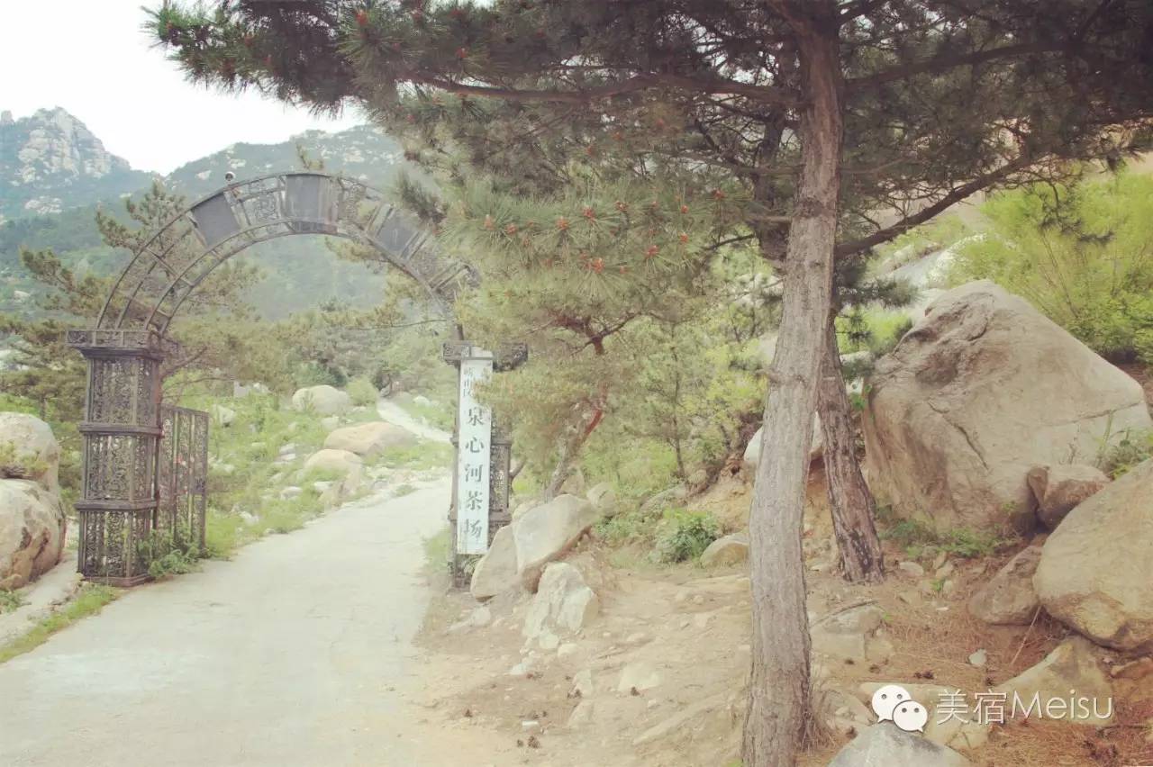 一家惊艳国牌度假界、一家美翻华北民宿圈,两种体验,看见最妩媚的青岛