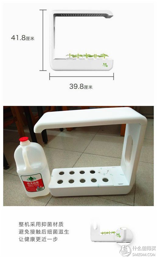 我的秘密菜园,我的秘密小菜地