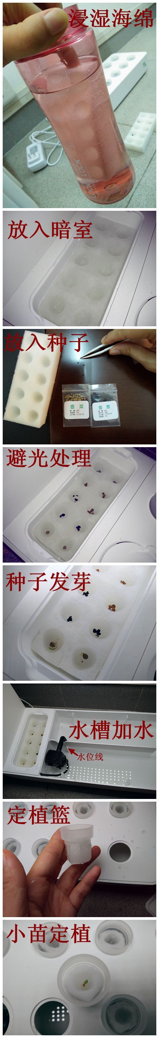 我的秘密菜园,我的秘密小菜地