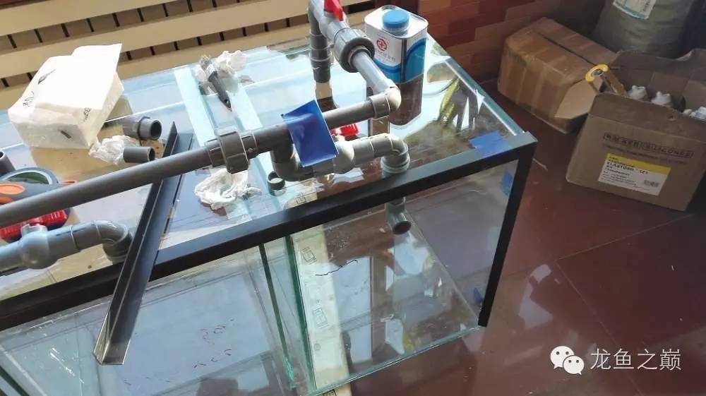 超级白,超会做,这才叫养鱼!