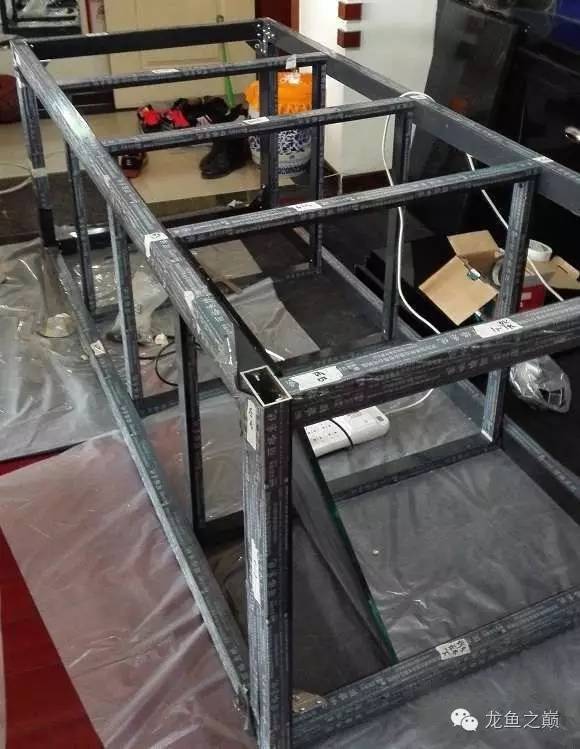 超级白,超会做,这才叫养鱼!