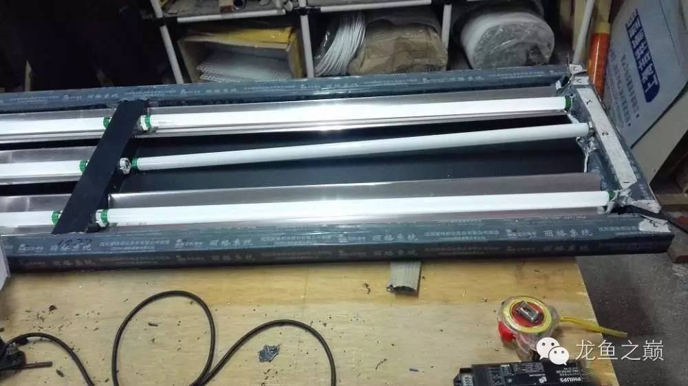 超级白,超会做,这才叫养鱼!