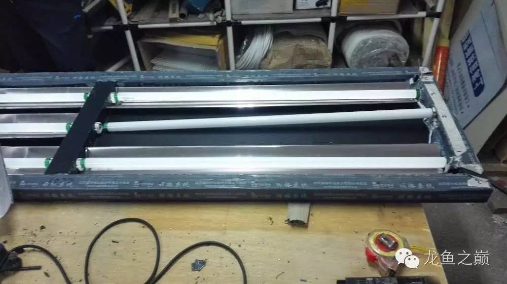 超级白,超会做,这才叫养鱼!