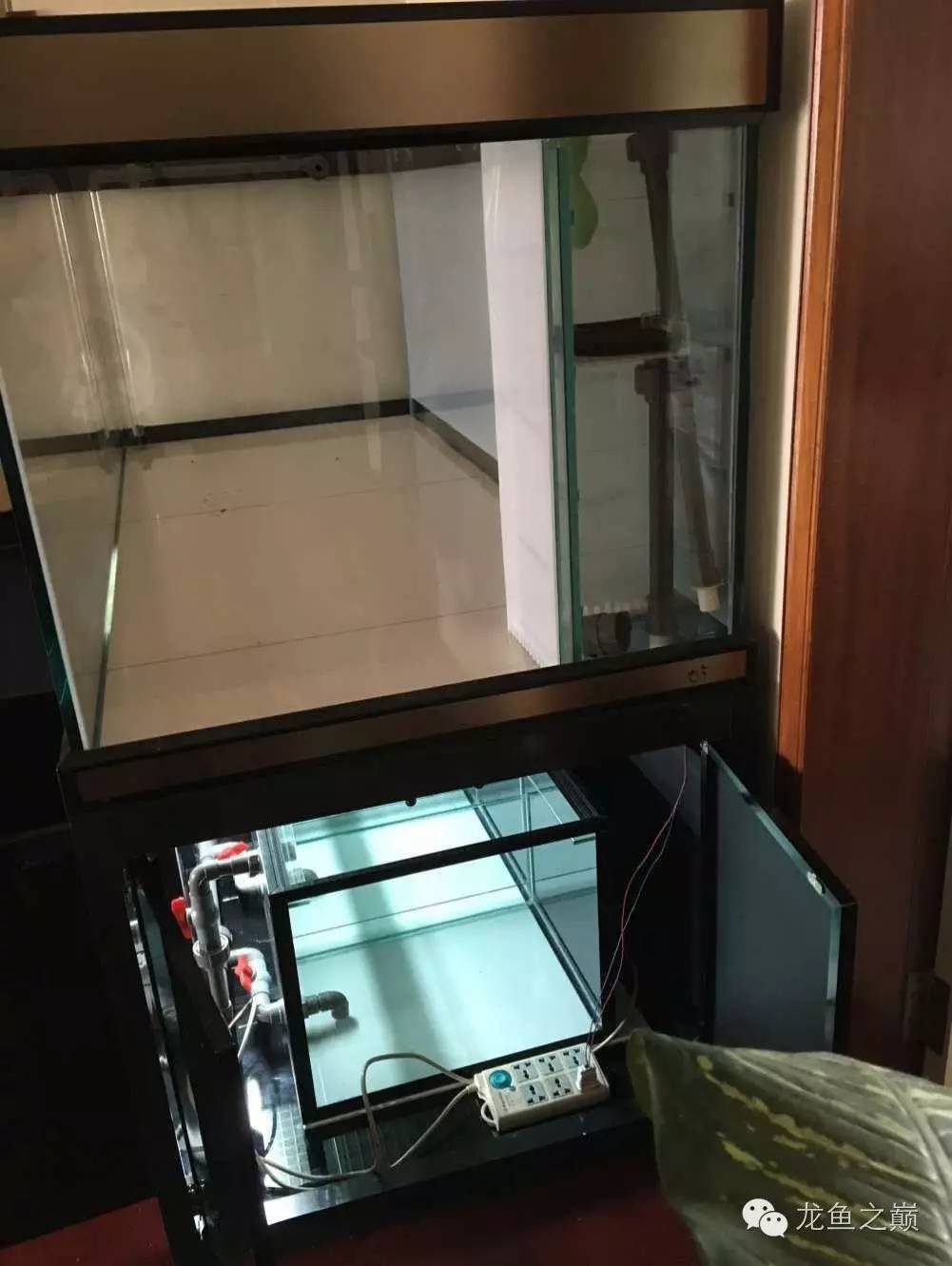 超级白,超会做,这才叫养鱼!